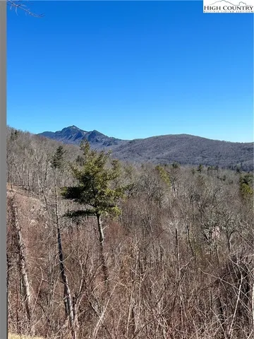 a view of a mountain in the distance in a field