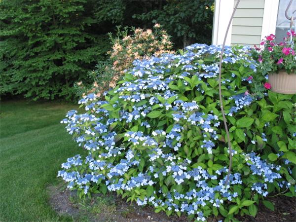 32 Lincoln Road Ashland, MA 01721 - Photo 29 of 30