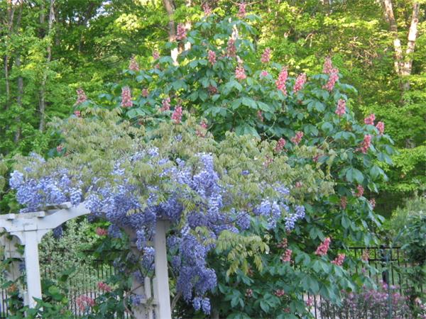 32 Lincoln Road Ashland, MA 01721 - Photo 30 of 30