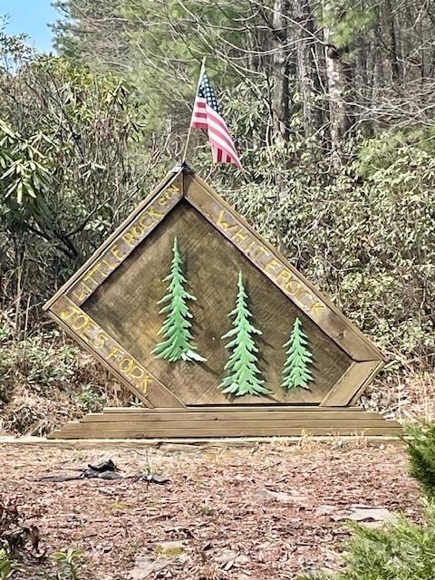 Tbd White Rock Road, Unit 1 Lenoir, NC 28645 - Photo 2 of 10