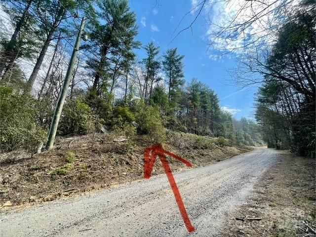 Tbd White Rock Road, Unit 1 Lenoir, NC 28645 - Photo 9 of 10