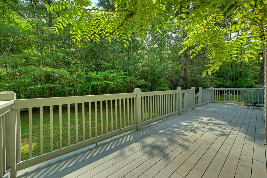 6162 Hardscrabble Road Mineral Bluff, GA 30559 - Photo 24 of 54 Gallery Image 24
