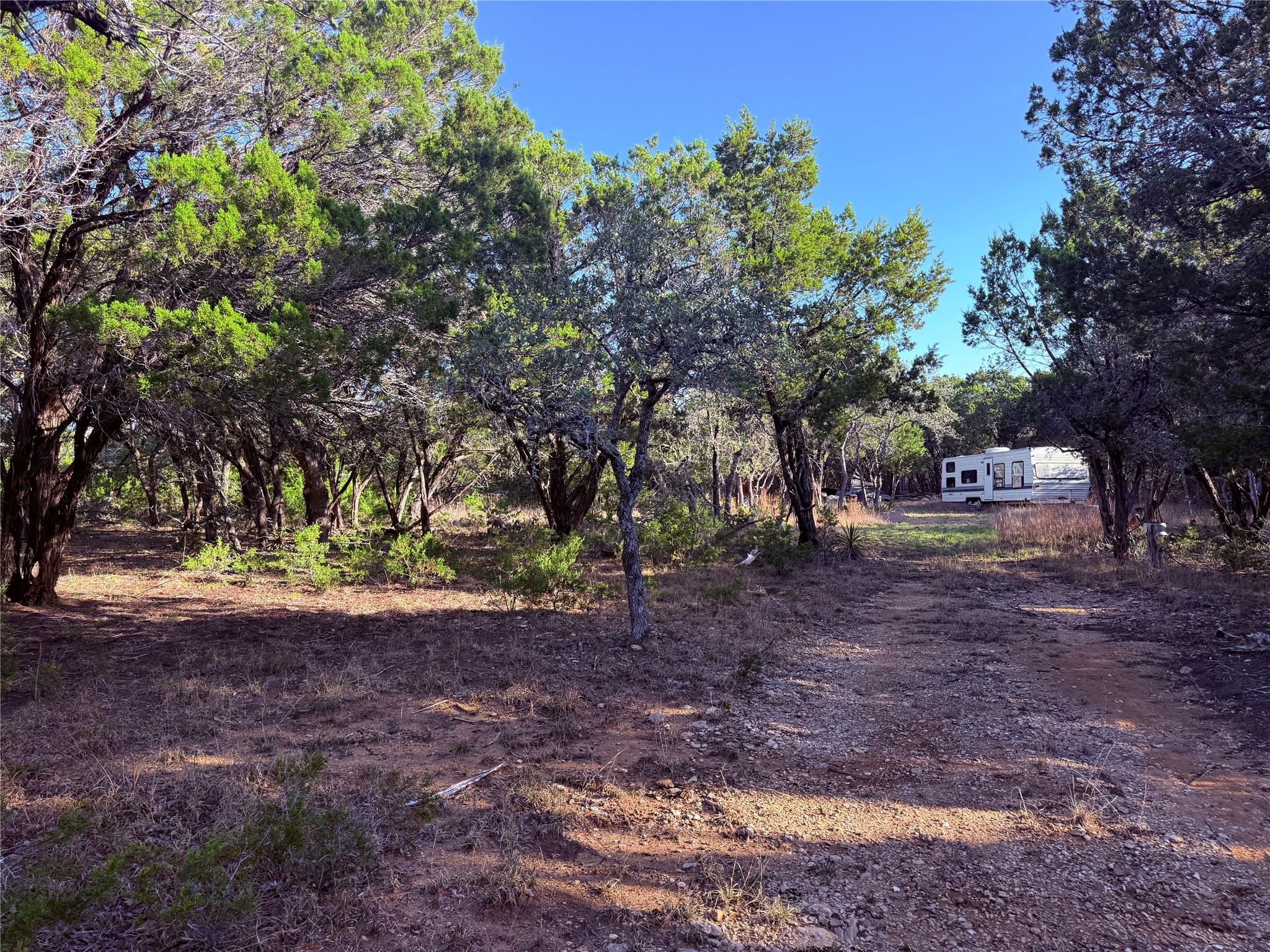 3600 Stagecoach Ranch Loop Dripping Springs, TX 78620 - Photo 14 of 18 View of yard with view of wooded area