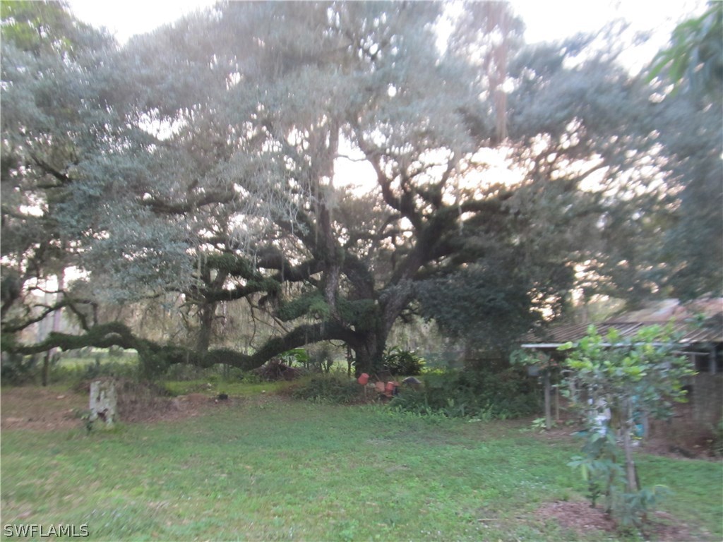 15850 Old Olga Road Alva, FL 33920 - Photo 4 of 11 a backyard of a house with lots of green space