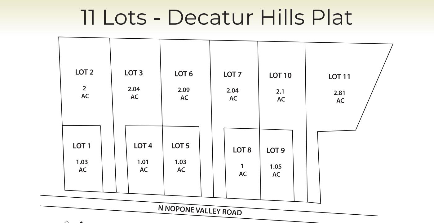 Lot 9 North Nopone Valley Road, Unit 1 Decatur, TN 37322 - Photo 3 of 17 Plat