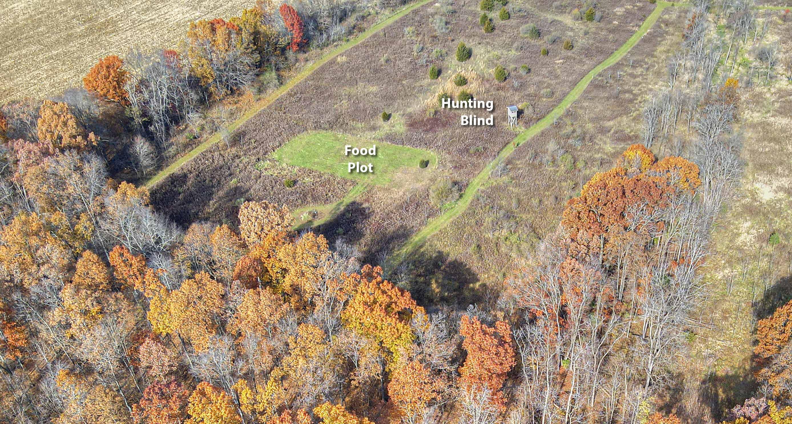 6659 Buckman Road Hanover, MI 49241 - Photo 38 of 48 Food Plot