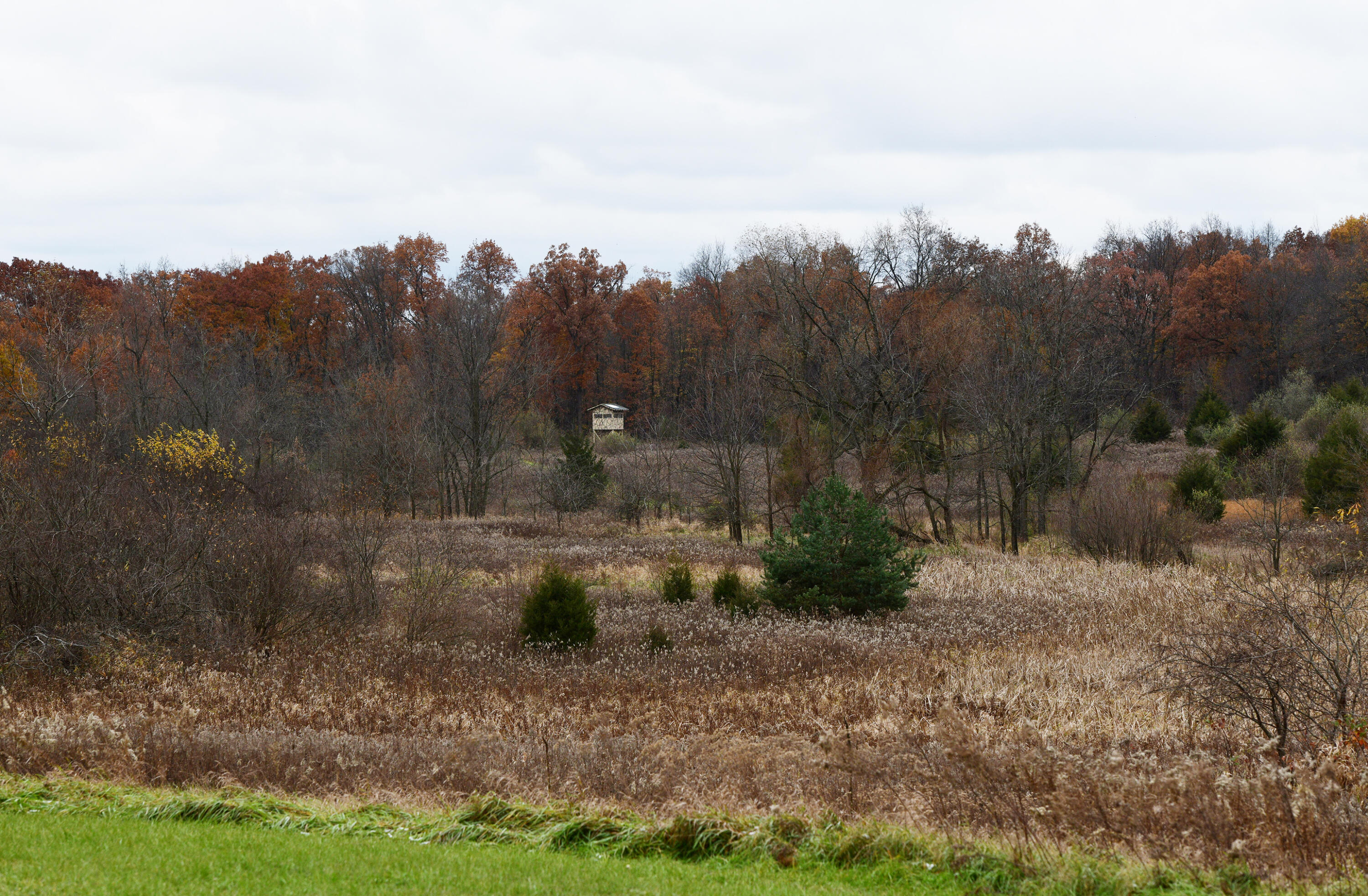 6659 Buckman Road Hanover, MI 49241 - Photo 45 of 48 Fields