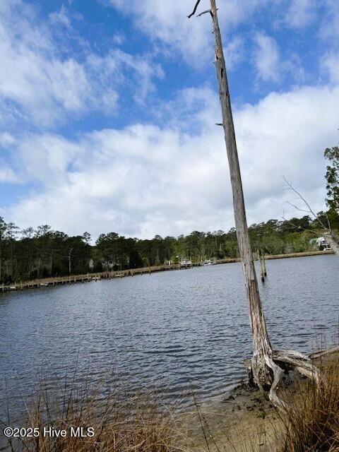 665-637 Bell Point Road Merritt, NC 28556 - Photo 5 of 17 Merrit Water 6