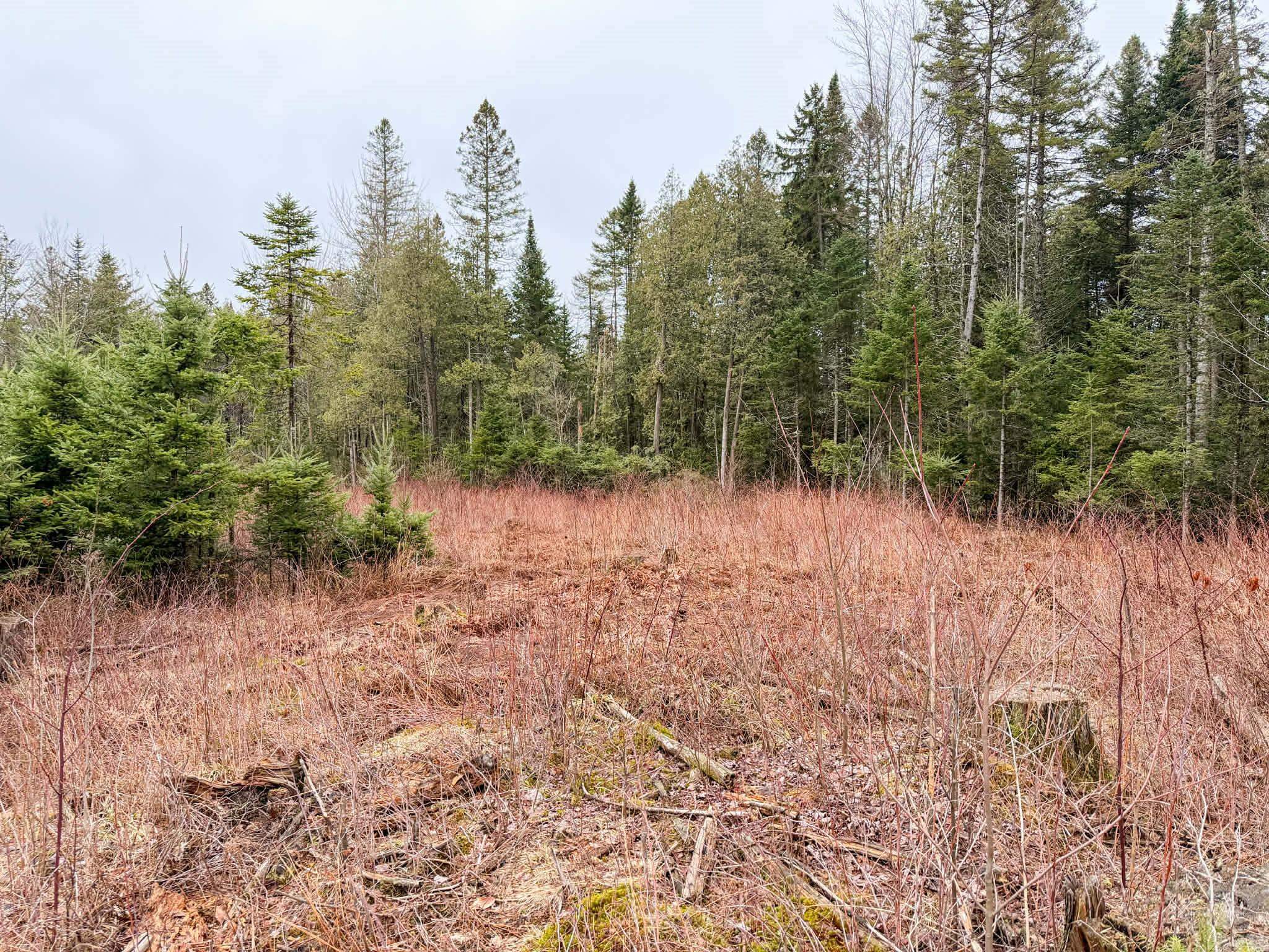 4334 Hinman Settler Road Derby, VT 05855 - Photo 6 of 7