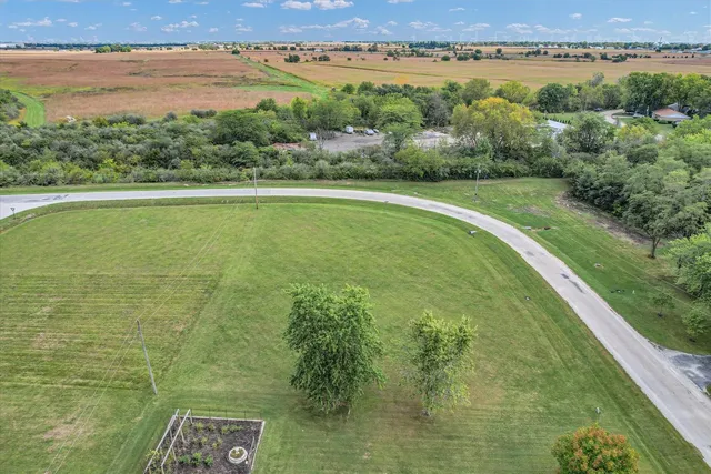 a view of a lush green space