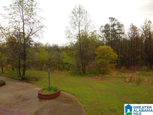 1395 Mountain View Road Springville, AL 35146 - Photo 20 of 27