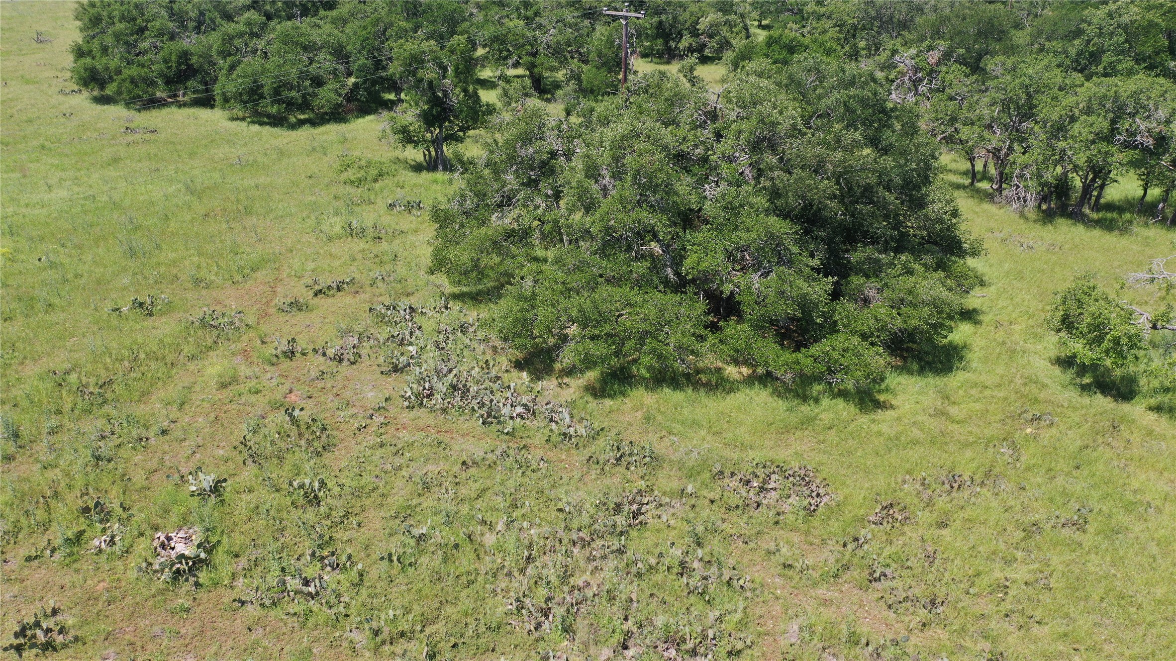 3215 County Road 305 Jarrell, TX 76537 - Photo 10 of 23