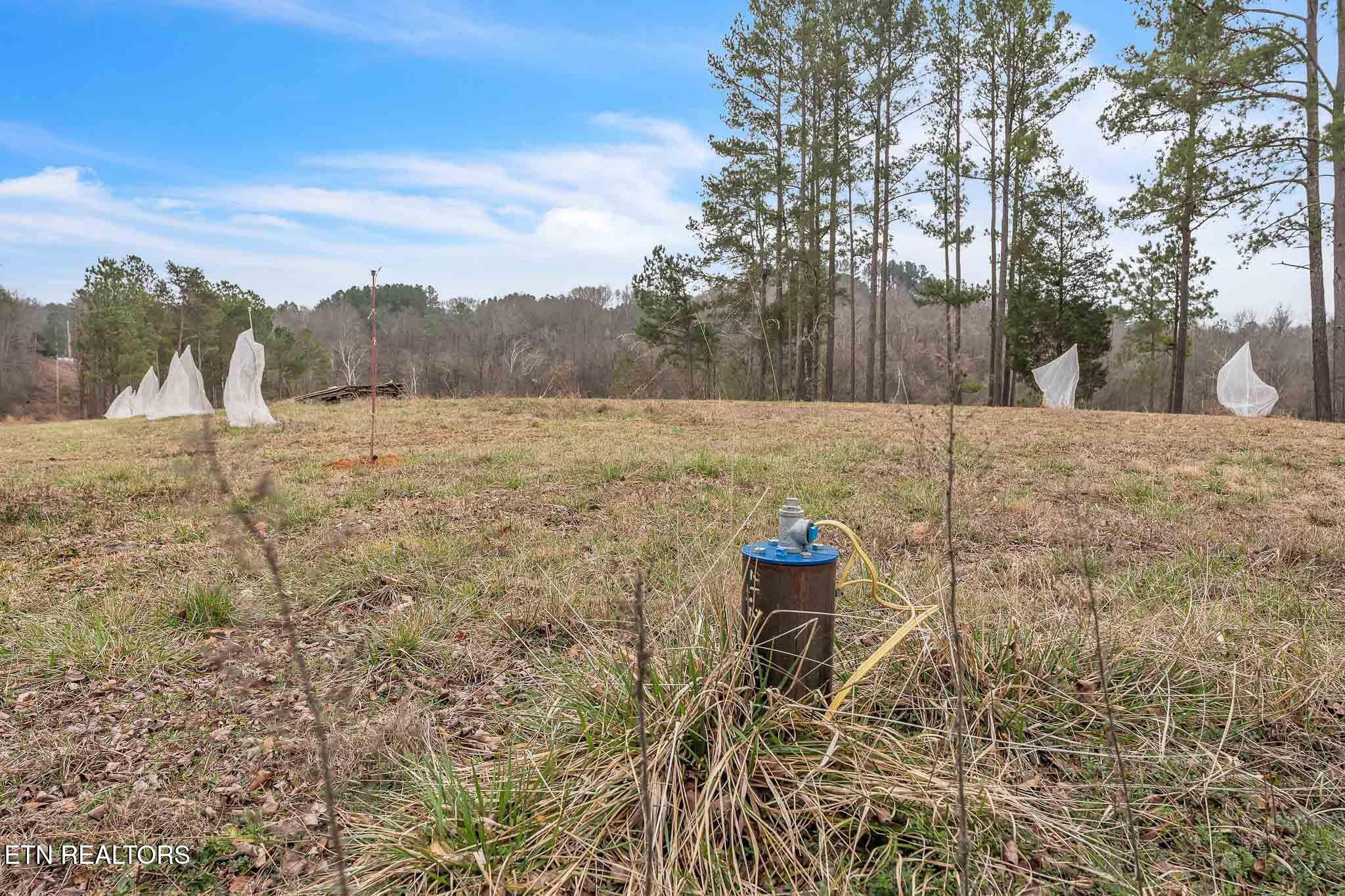 7.3 Acres Athens Road Calhoun, TN 37309 - Photo 13 of 20 DSC06883