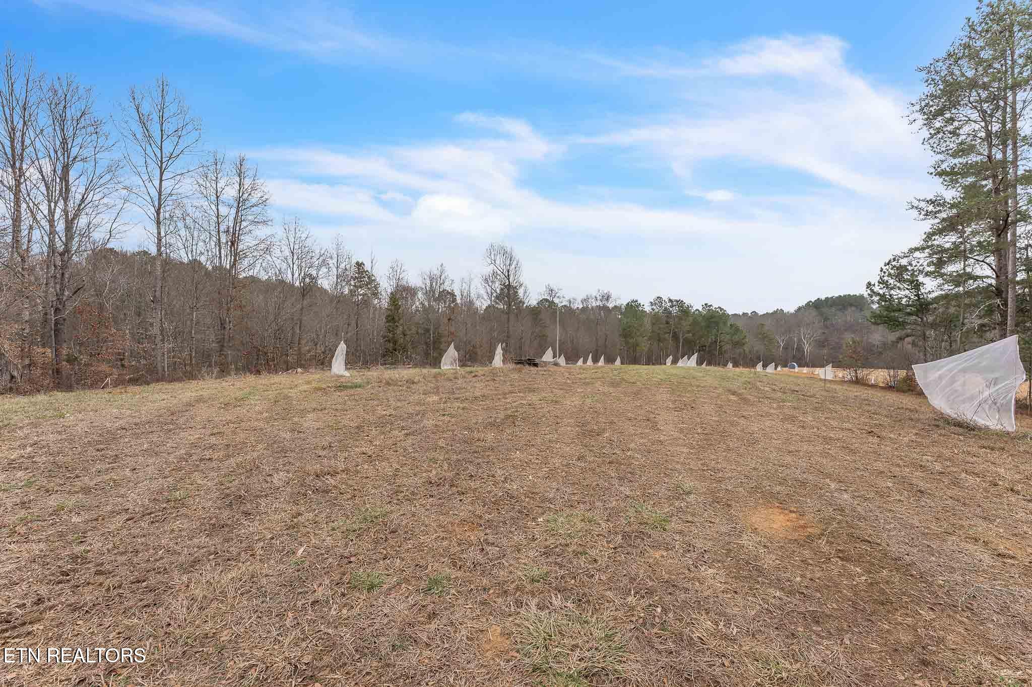 7.3 Acres Athens Road Calhoun, TN 37309 - Photo 14 of 20 DSC06886