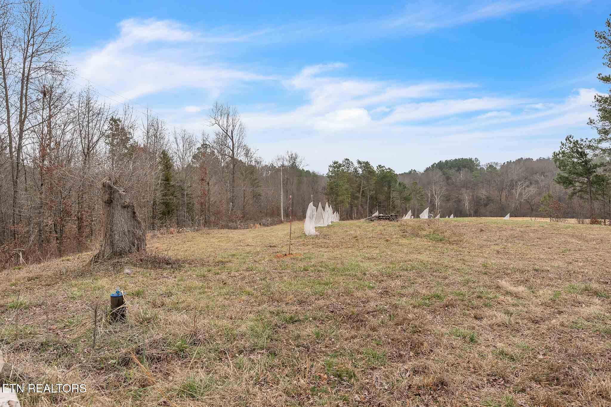 7.3 Acres Athens Road Calhoun, TN 37309 - Photo 16 of 20 DSC06892