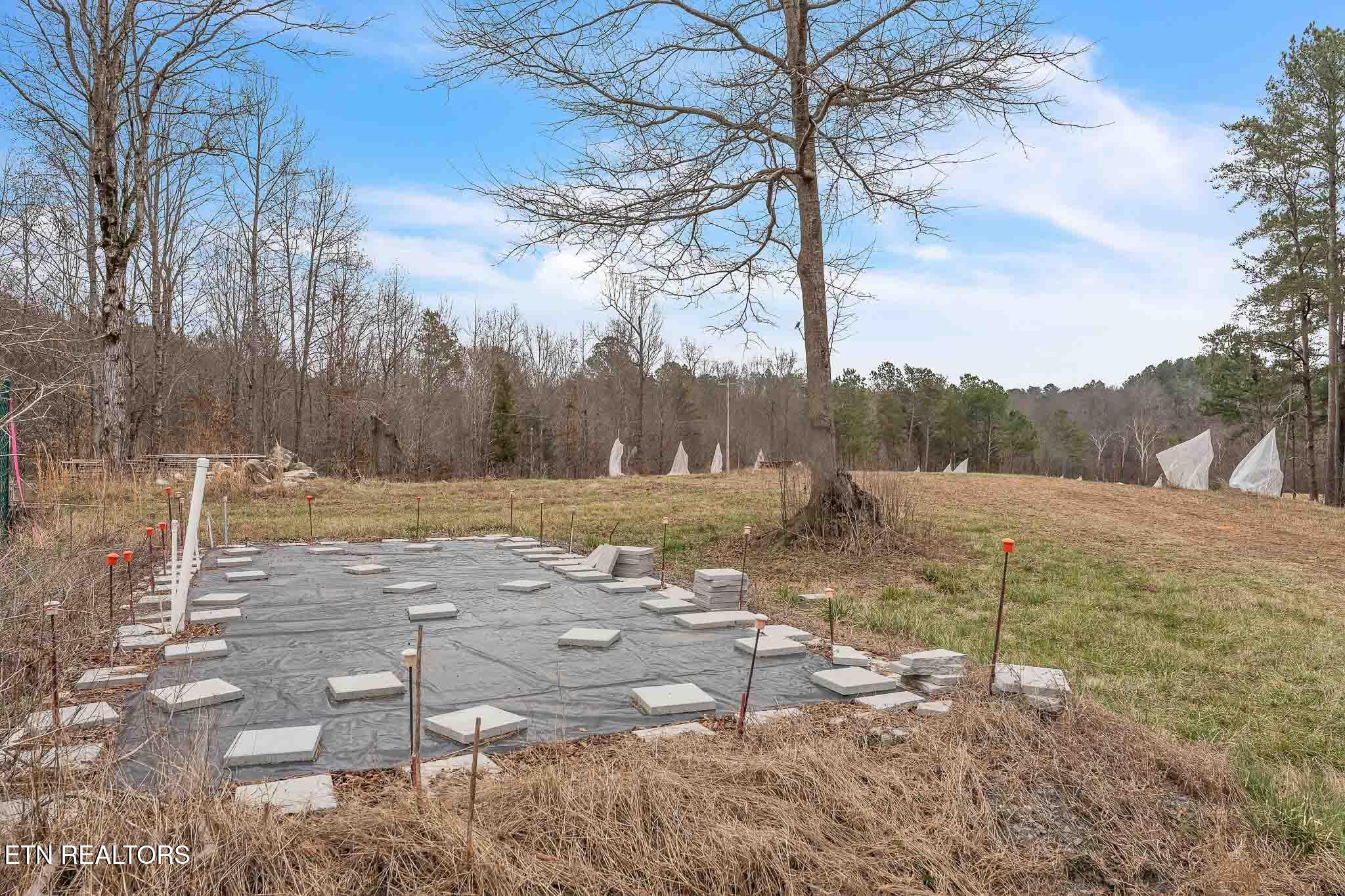 7.3 Acres Athens Road Calhoun, TN 37309 - Photo 17 of 20 DSC06895