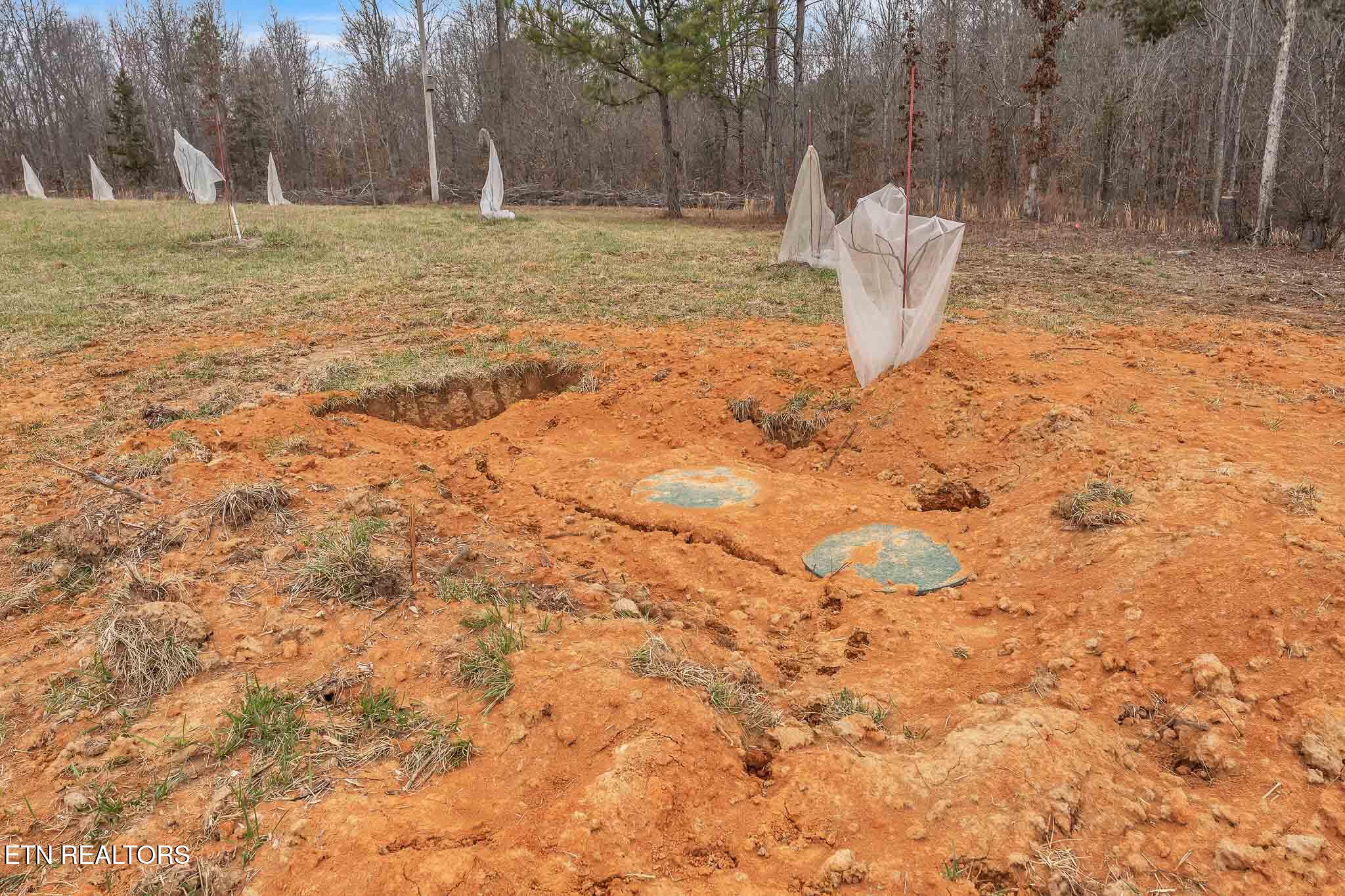 7.3 Acres Athens Road Calhoun, TN 37309 - Photo 18 of 20 DSC06898