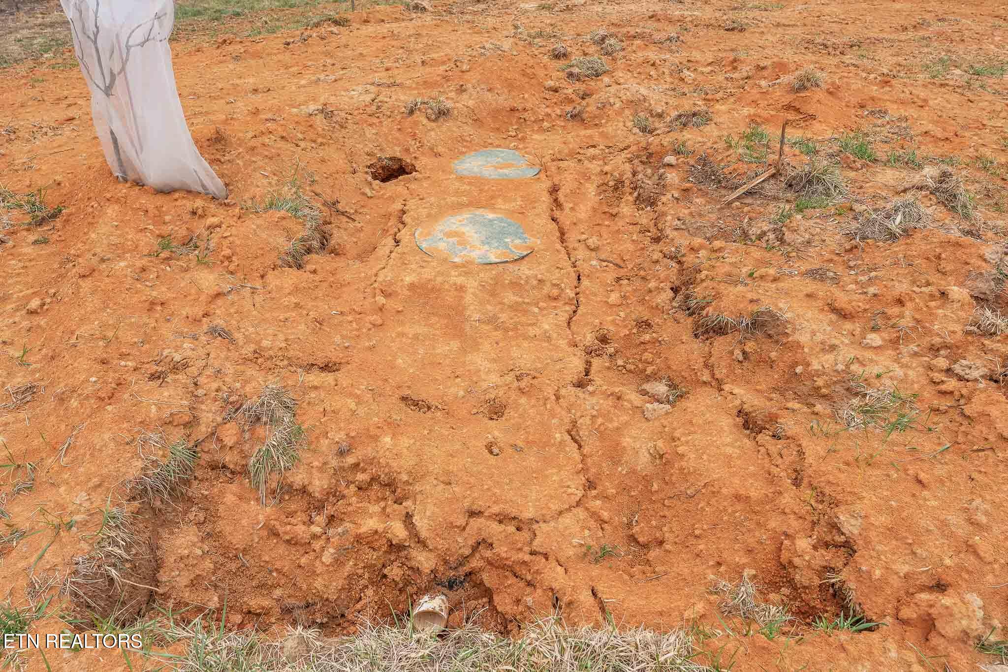 7.3 Acres Athens Road Calhoun, TN 37309 - Photo 19 of 20 DSC06901