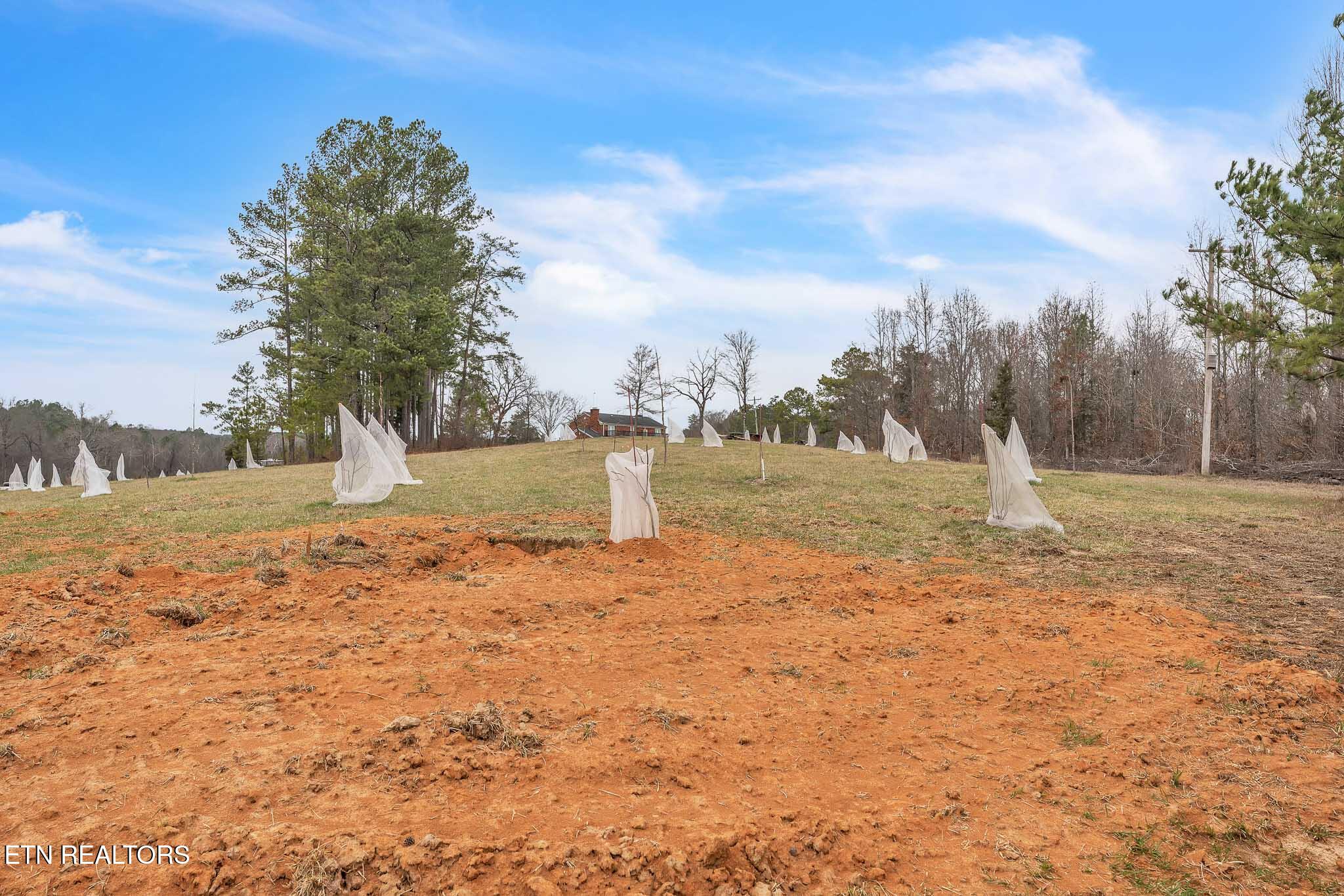 7.3 Acres Athens Road Calhoun, TN 37309 - Photo 20 of 20 DSC06906