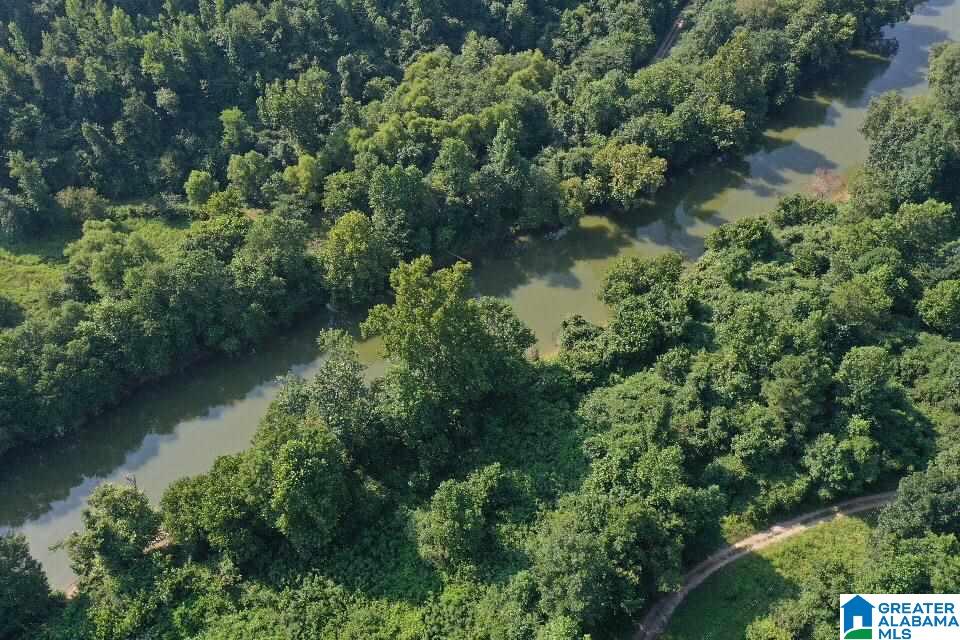 0 Sherwood Forest Road, Unit 1 Empire, AL 35063 - Photo 6 of 7