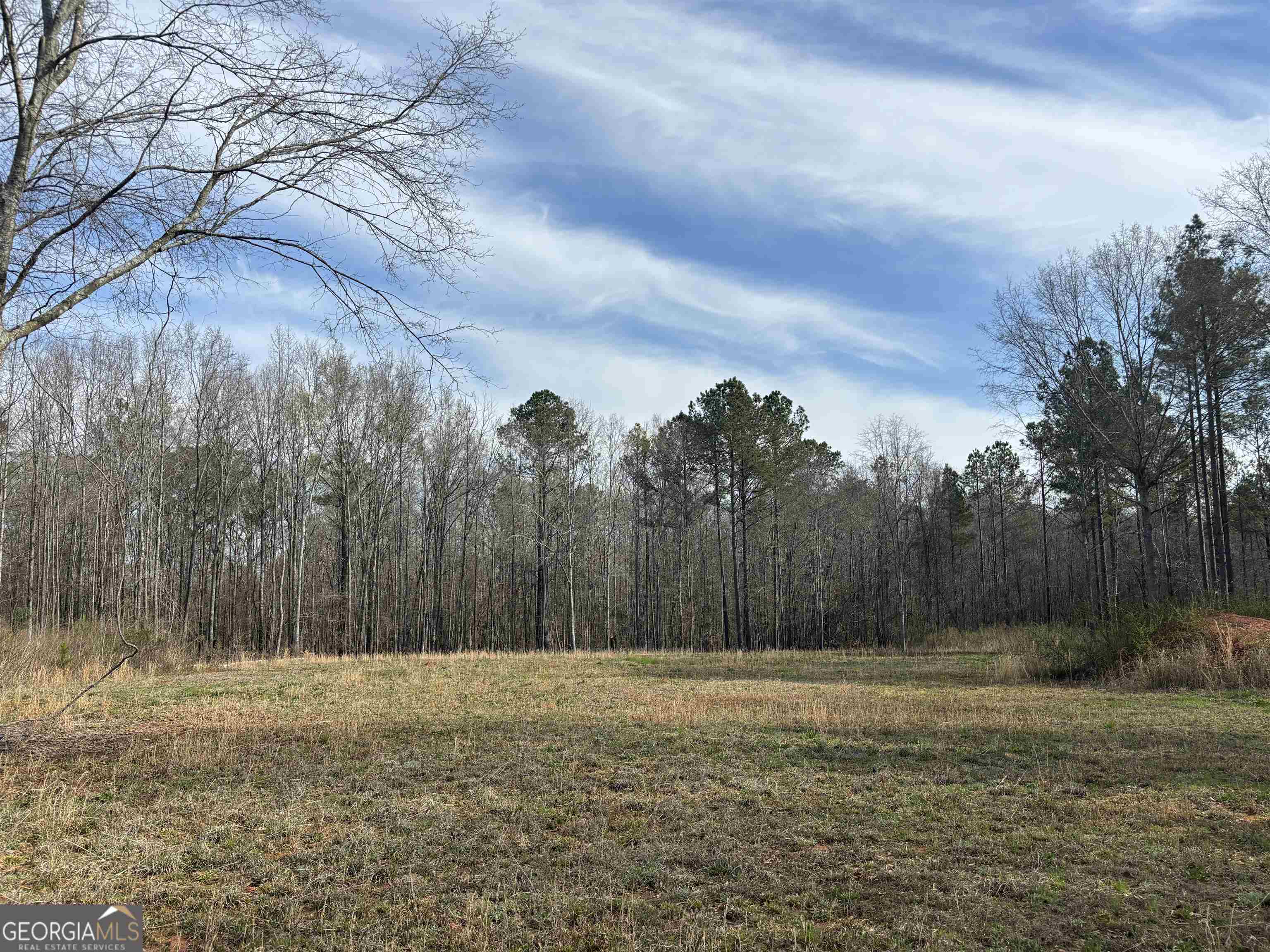 0 Godfrey Road Madison, GA 30650 - Photo 1 of 1 a view of a backyard