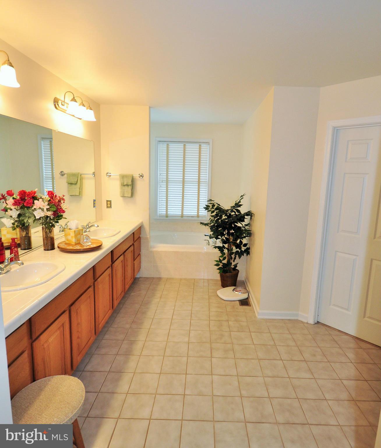 906 Coen Road Street, MD 21154 - Photo 17 of 30 Bath (Master)