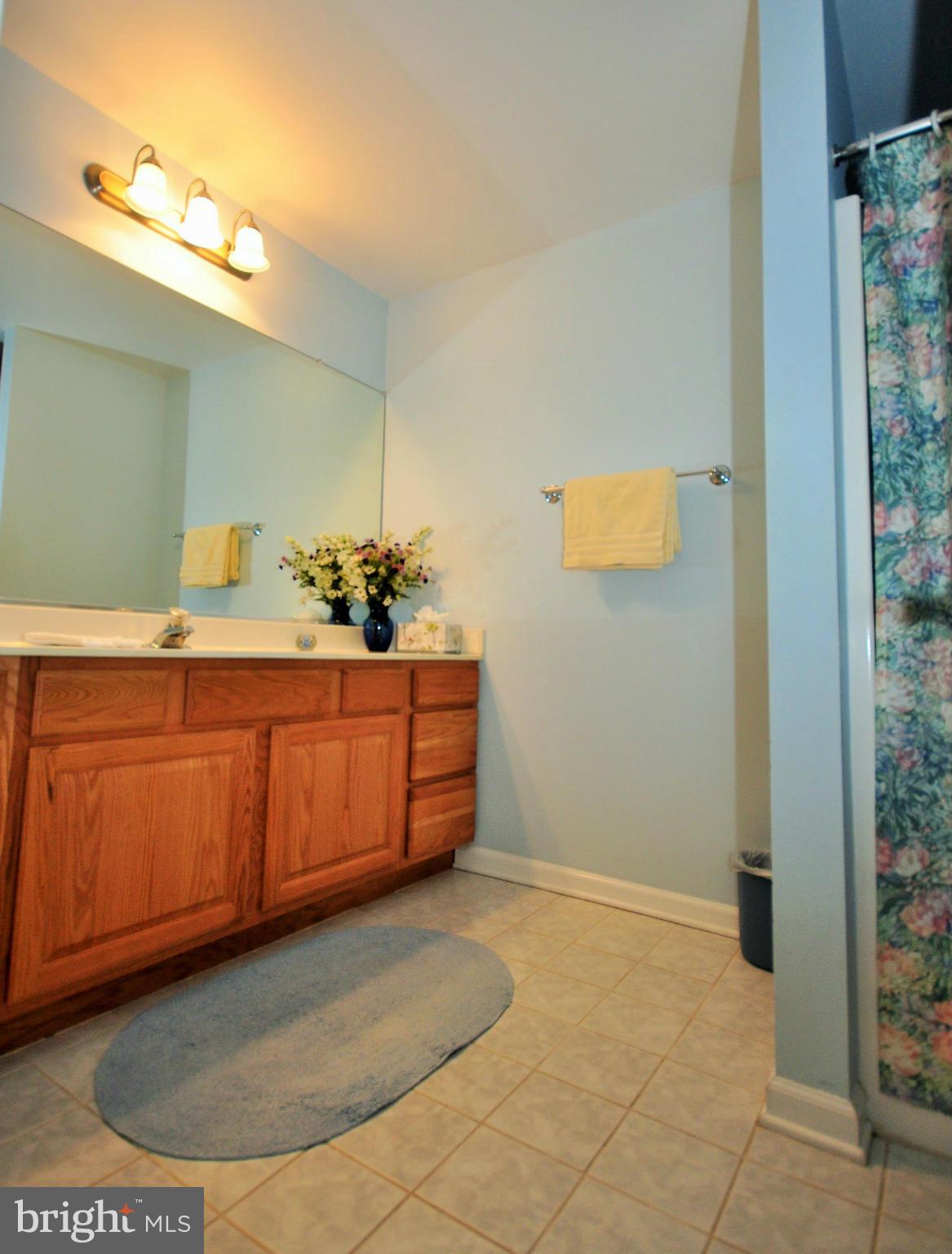906 Coen Road Street, MD 21154 - Photo 23 of 30 Bath