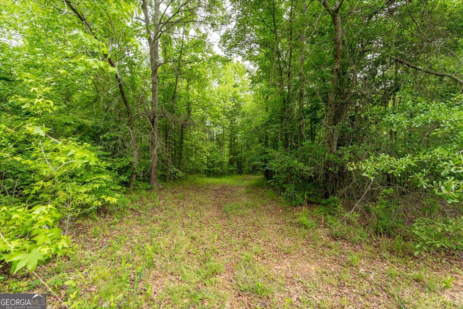 299 Hunting Club Road Southwest Crawfordville, GA 30631 - Photo 8 of 45