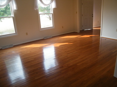 206 Aftons Meadow Road Vinton, VA 24179 - Photo 2 of 6 an empty room with wooden floor and windows