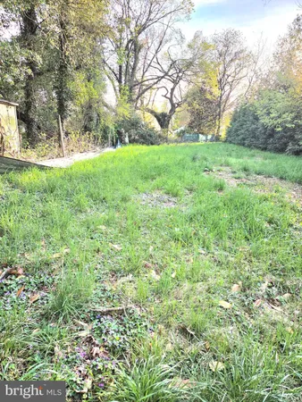 a view of yard with green space