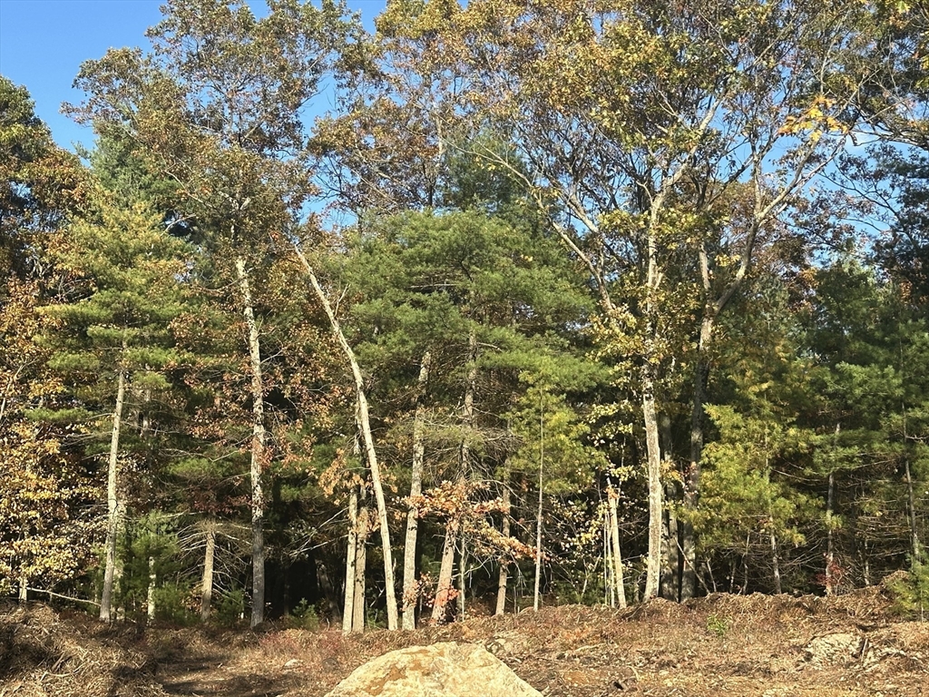 0 Fall Lane Franklin, MA 02038 - Photo 3 of 4