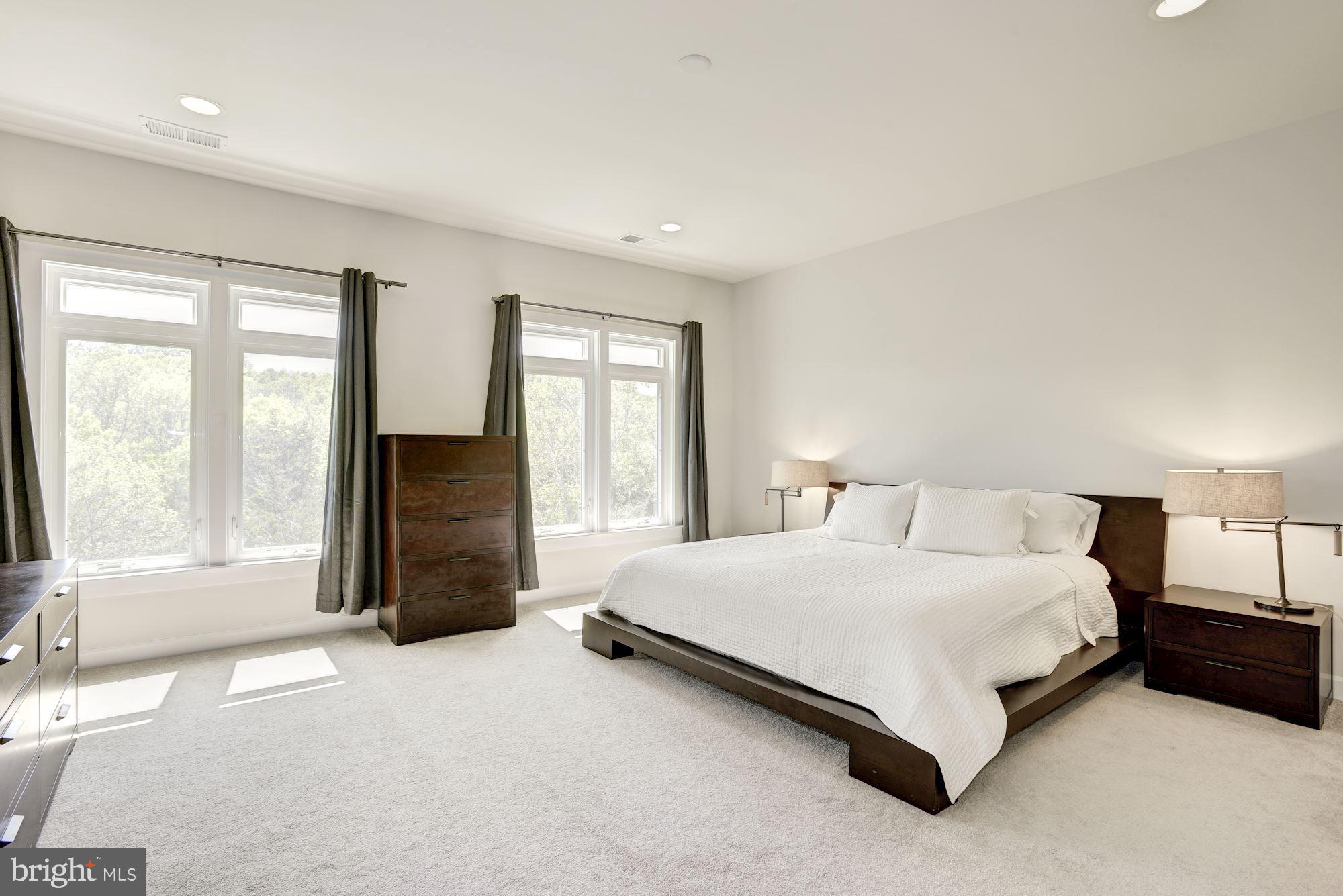 1513 Ribbon Limestone Terrace Southeast Leesburg, VA 20175 - Photo 14 of 27 Master suite