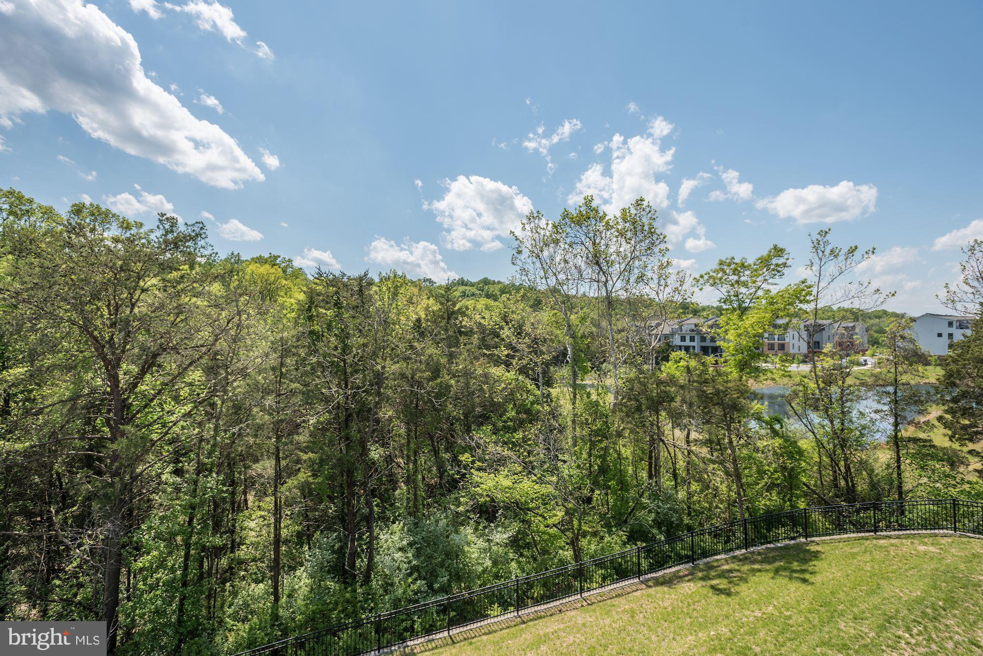 1513 Ribbon Limestone Terrace Southeast Leesburg, VA 20175 - Photo 3 of 27 Home backs to treed HOA common area and pond