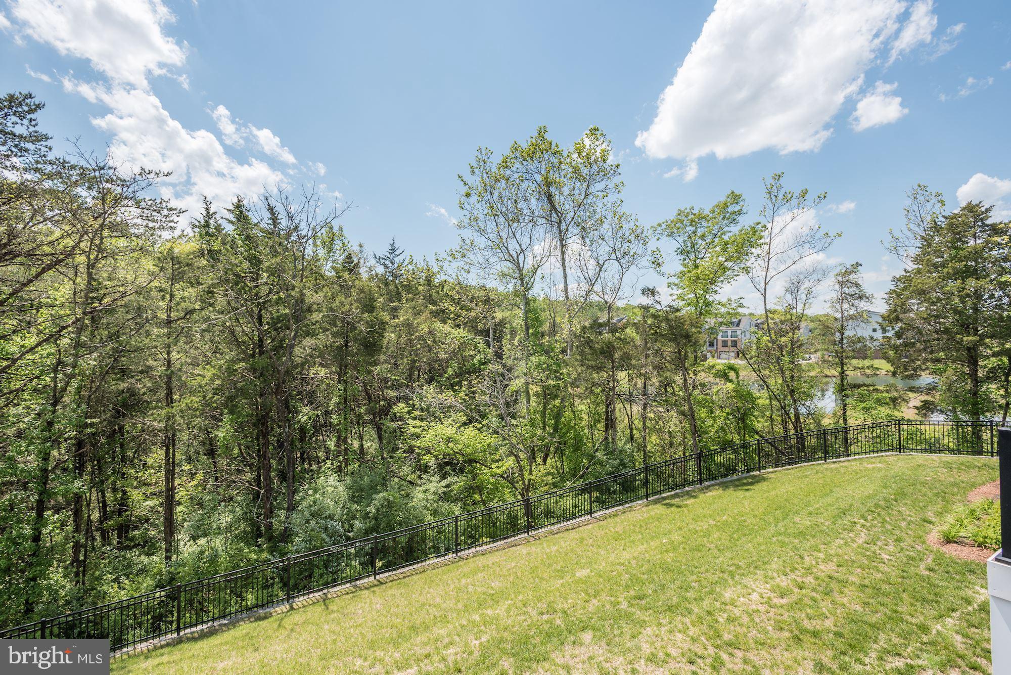 1513 Ribbon Limestone Terrace Southeast Leesburg, VA 20175 - Photo 22 of 27 Back yard