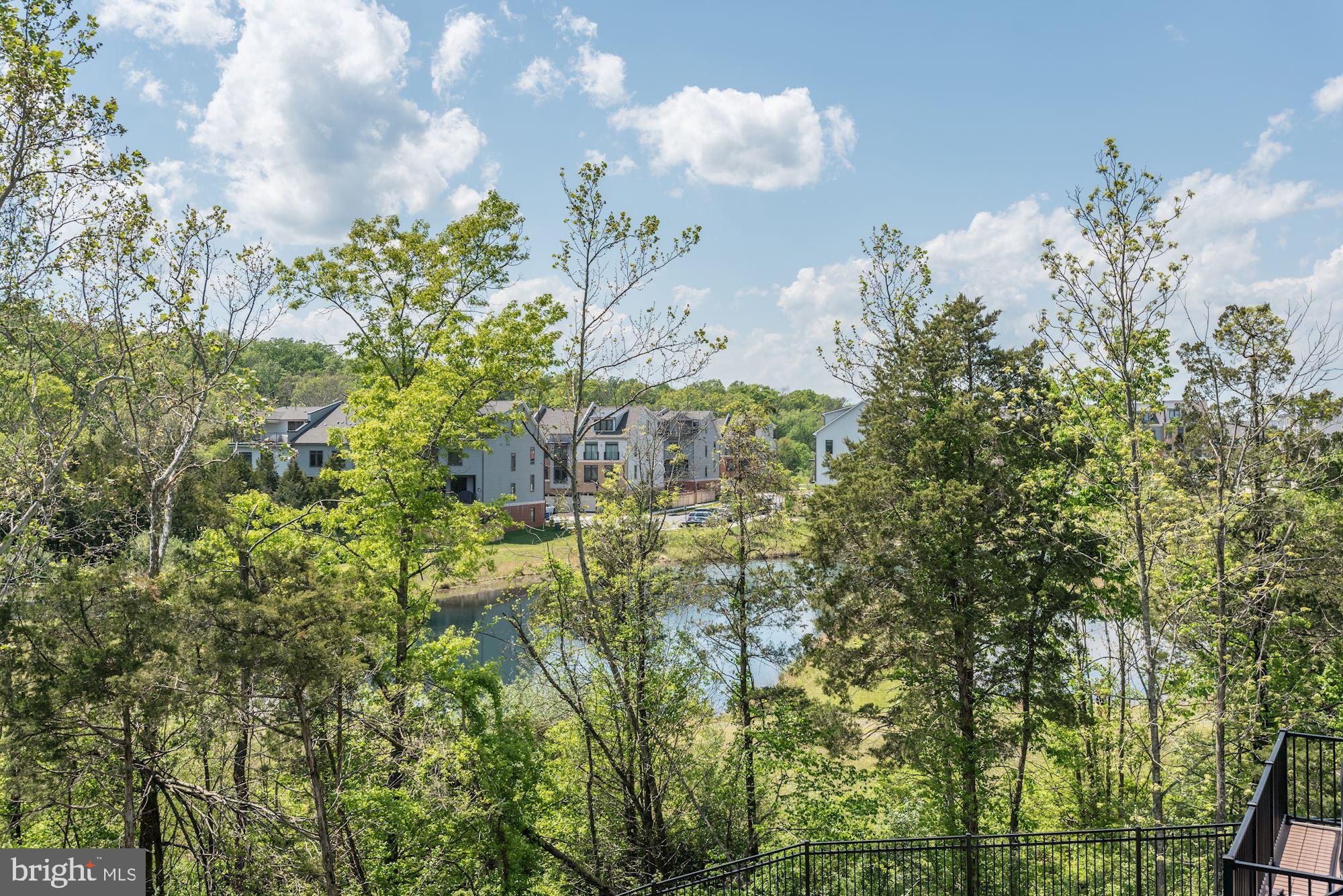 1513 Ribbon Limestone Terrace Southeast Leesburg, VA 20175 - Photo 23 of 27 View of the pond