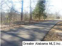 697 Hilltop Road, Unit 6 AC Warrior, AL 35180 - Photo 3 of 4