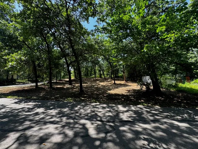 a view of a tree in the middle of a yard