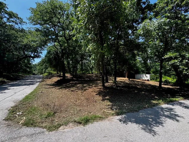 a view of a park with large trees