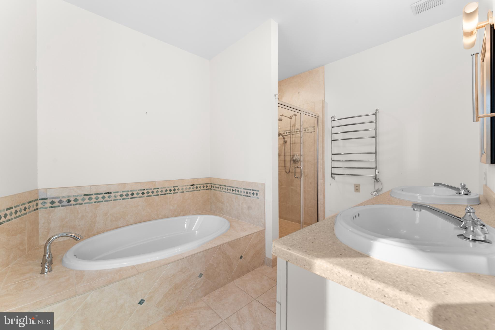 243 Aaron Mountain Road Castleton, VA 22716 - Photo 29 of 58 a bathroom with a sink and a bathtub