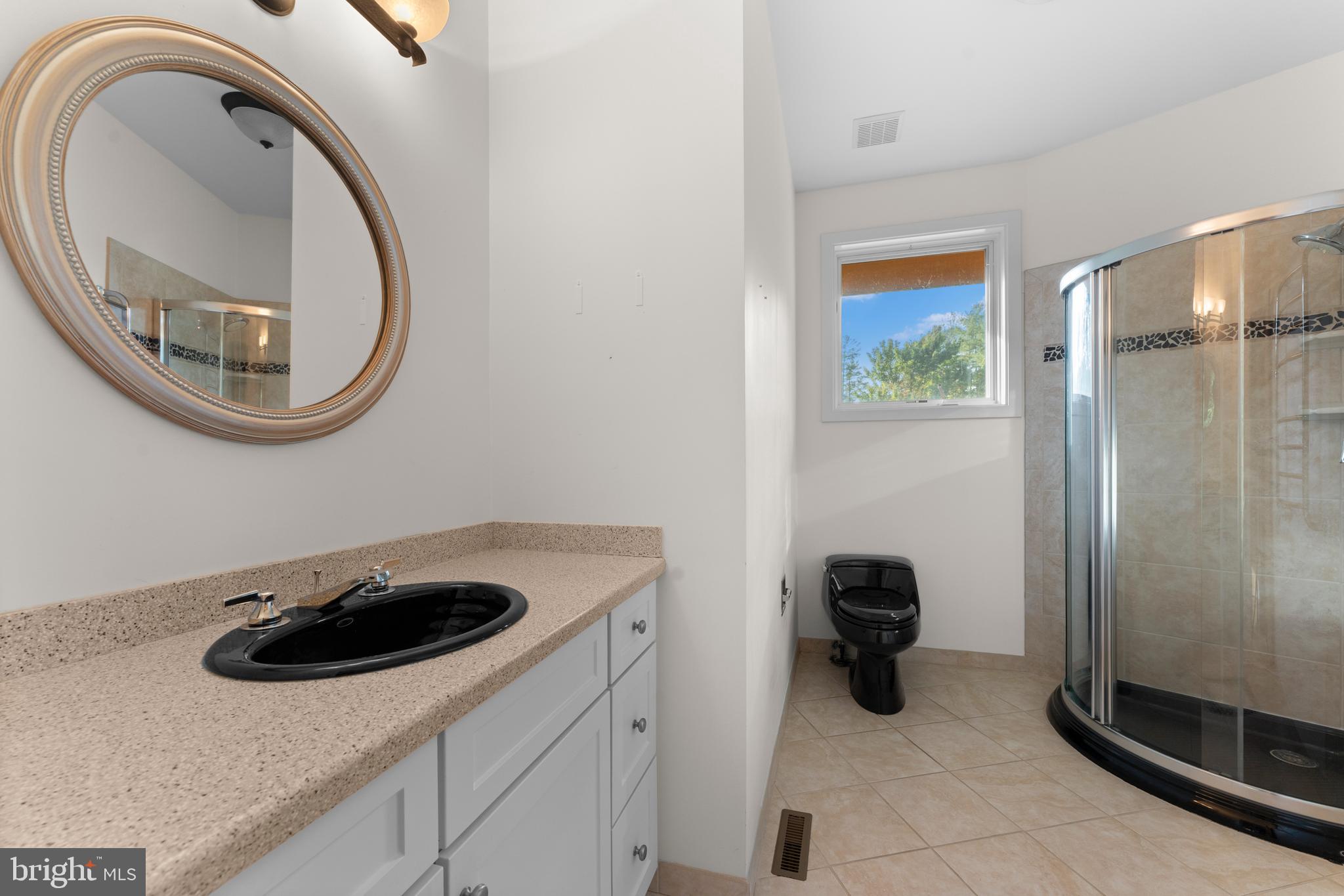 243 Aaron Mountain Road Castleton, VA 22716 - Photo 36 of 58 a bathroom with a sink a toilet and a mirror