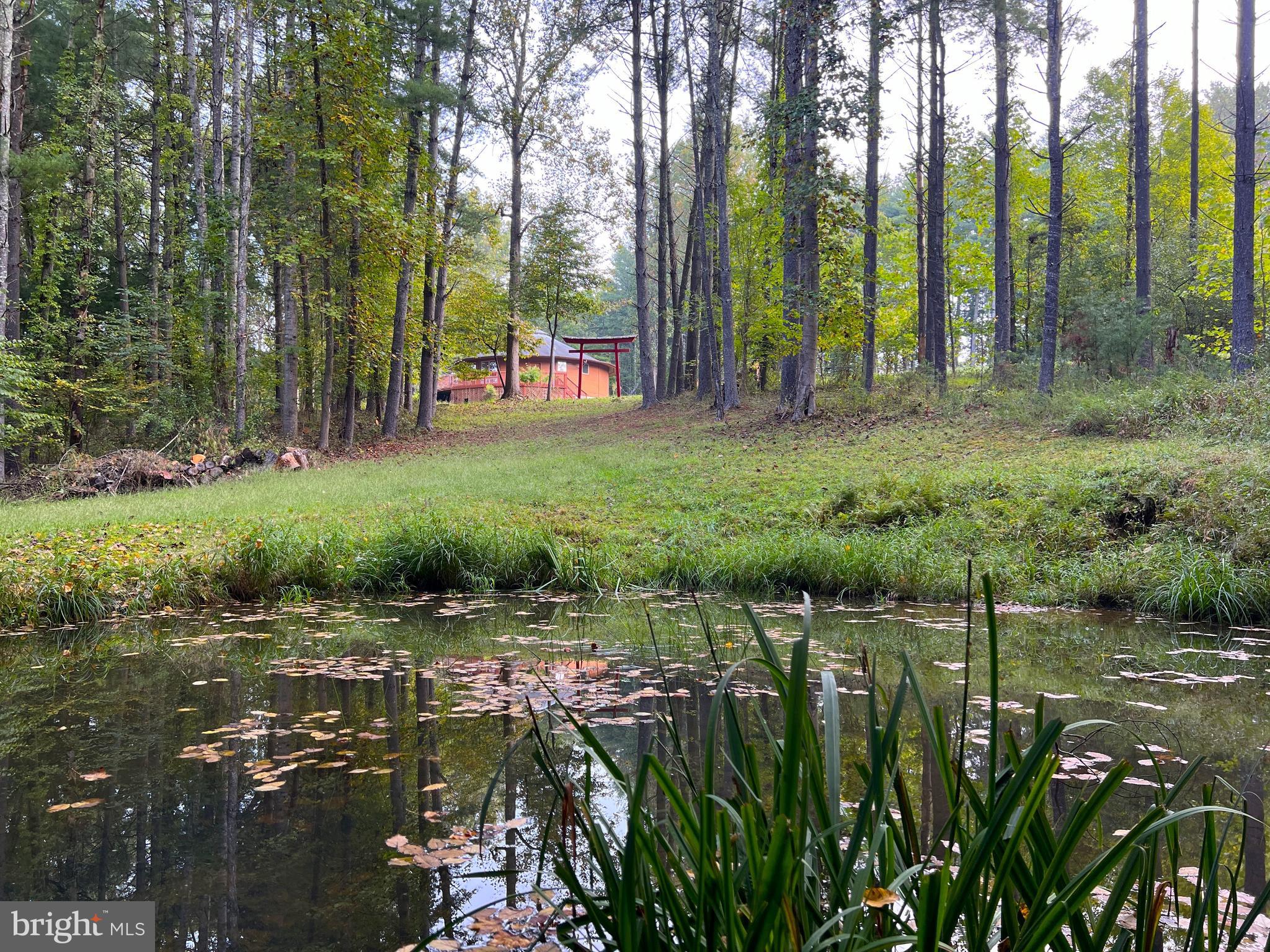 243 Aaron Mountain Road Castleton, VA 22716 - Photo 4 of 53 Looking across the pond back towards the house