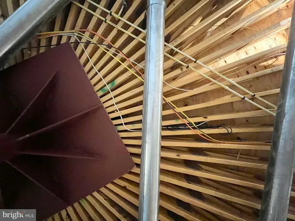 a view of a big yard with plants and large trees