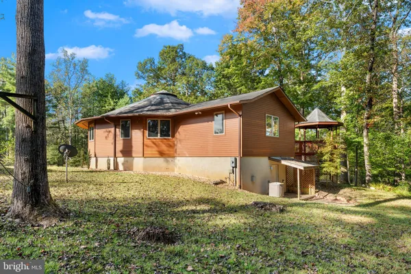 a view of a forest with lots of trees