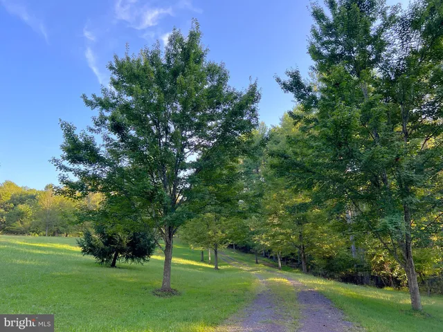 a view of a back yard