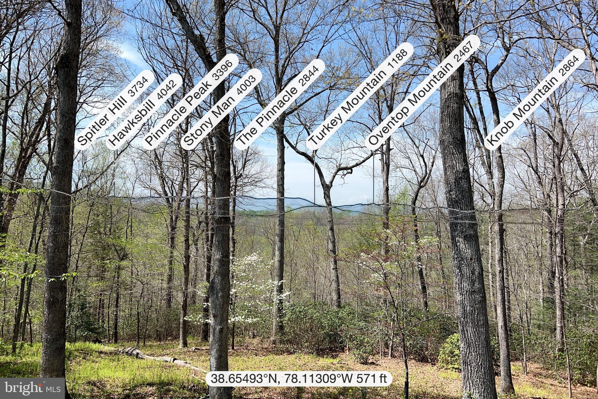 243 Aaron Mountain Road Castleton, VA 22716 - Photo 5 of 58 a view of outdoor space and swimming pool