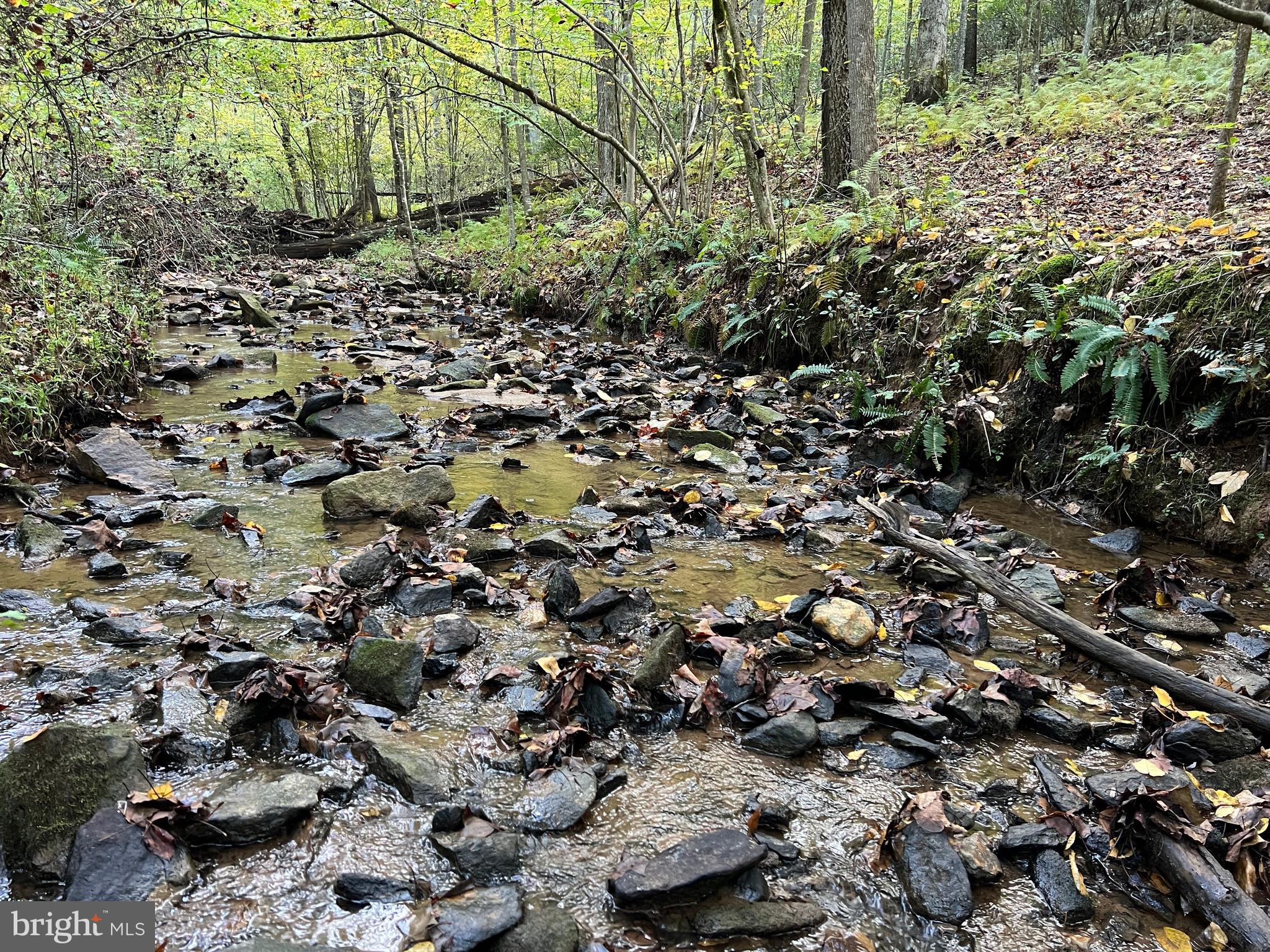 243 Aaron Mountain Road Castleton, VA 22716 - Photo 51 of 53 Tributary to Thornton River