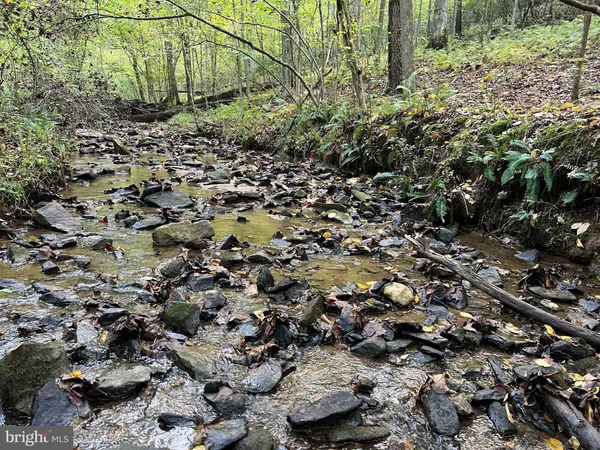 $775,000 | 243 Aaron Mountain Road, Castleton, VA 22716