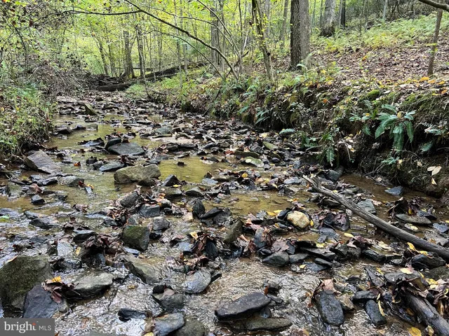 $775,000 | 243 Aaron Mountain Road, Castleton, VA 22716