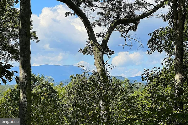 $775,000 | 243 Aaron Mountain Road, Castleton, VA 22716