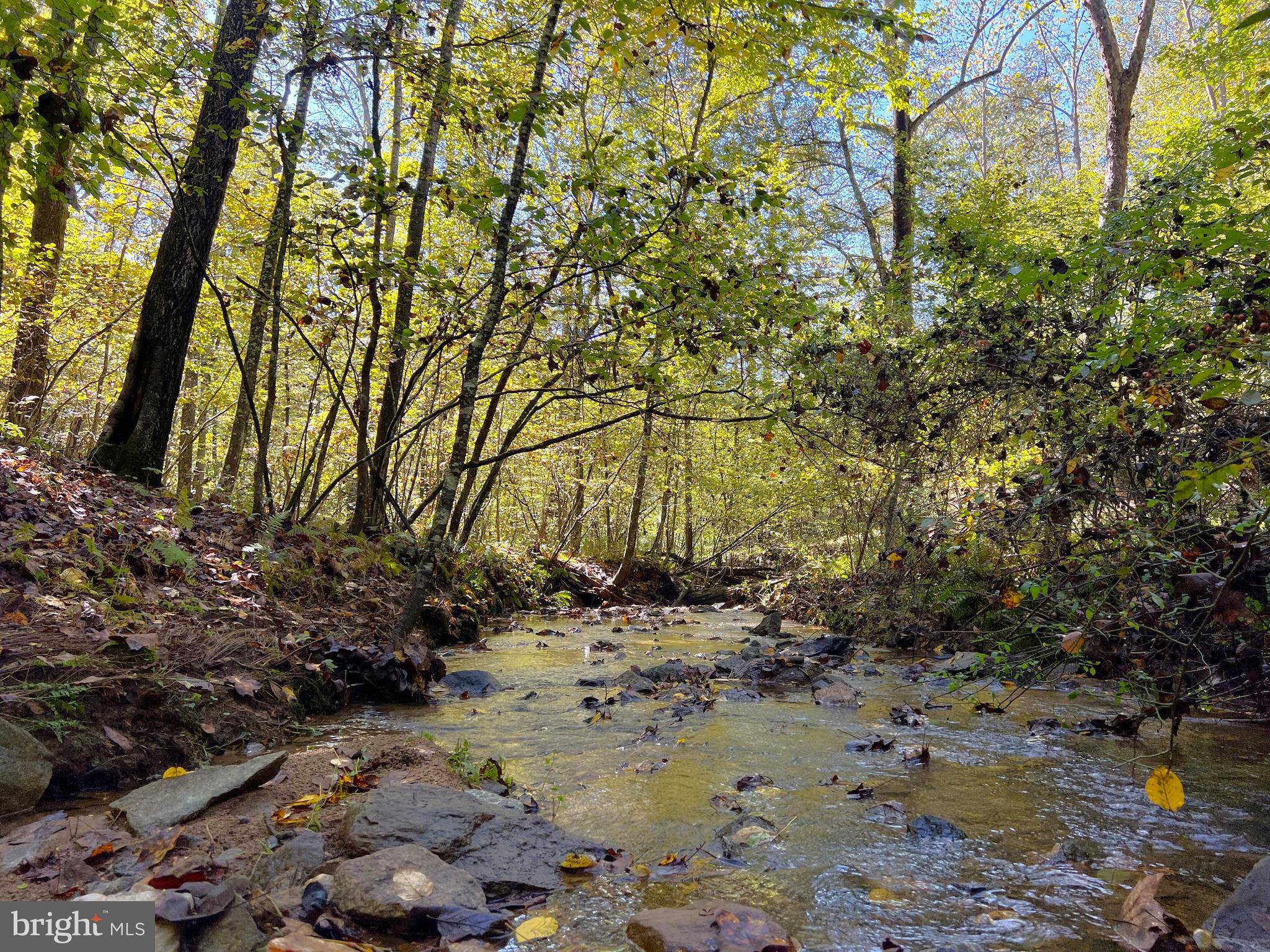 243 Aaron Mountain Road Castleton, VA 22716 - Photo 8 of 53 Tributary to Thornton River